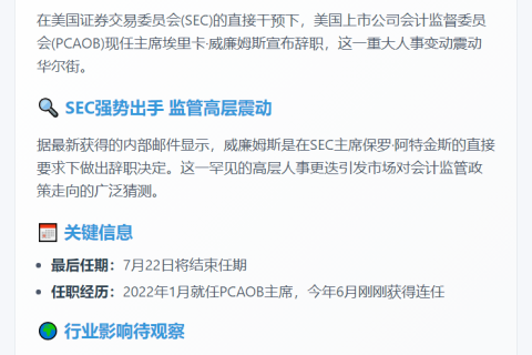 美上市公司监督机构主席应要求辞职