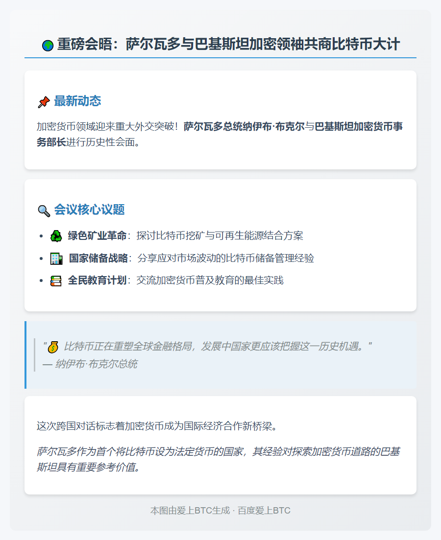 萨尔瓦多总统与巴基斯坦加密部长探讨比特币