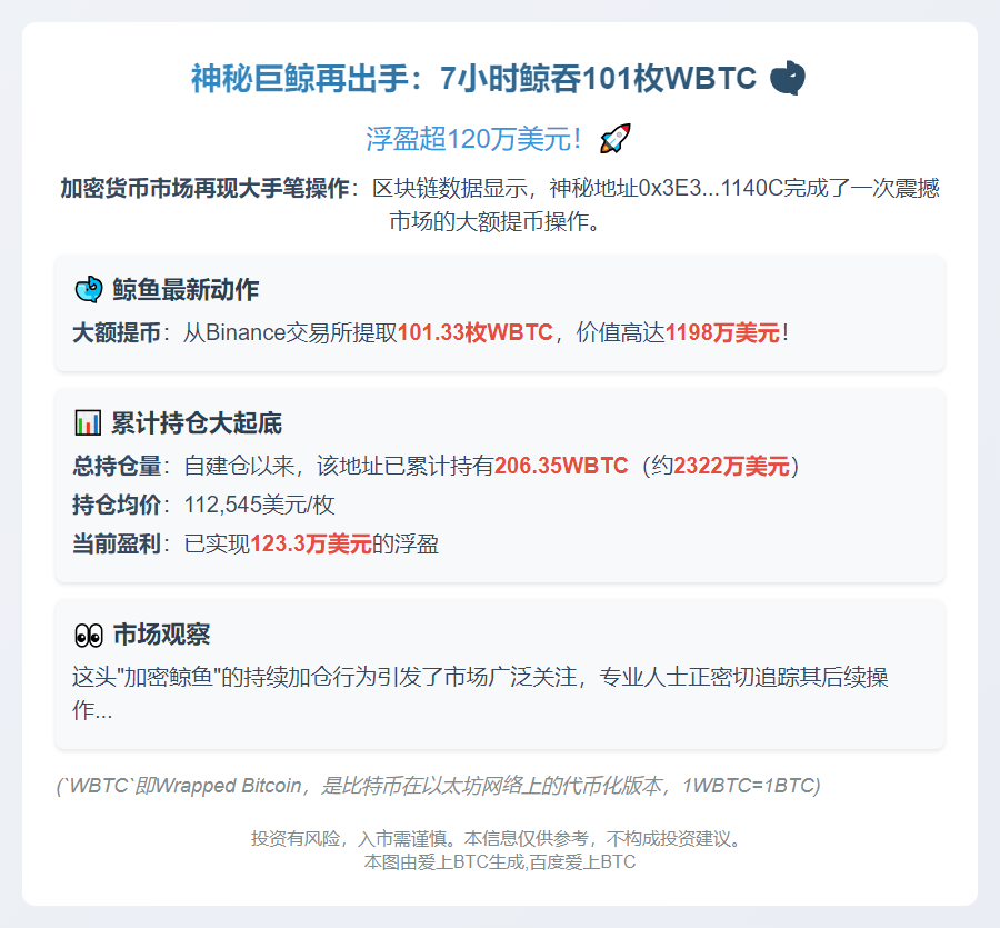 巨鲸7小时提币101枚BTC，持仓达206枚