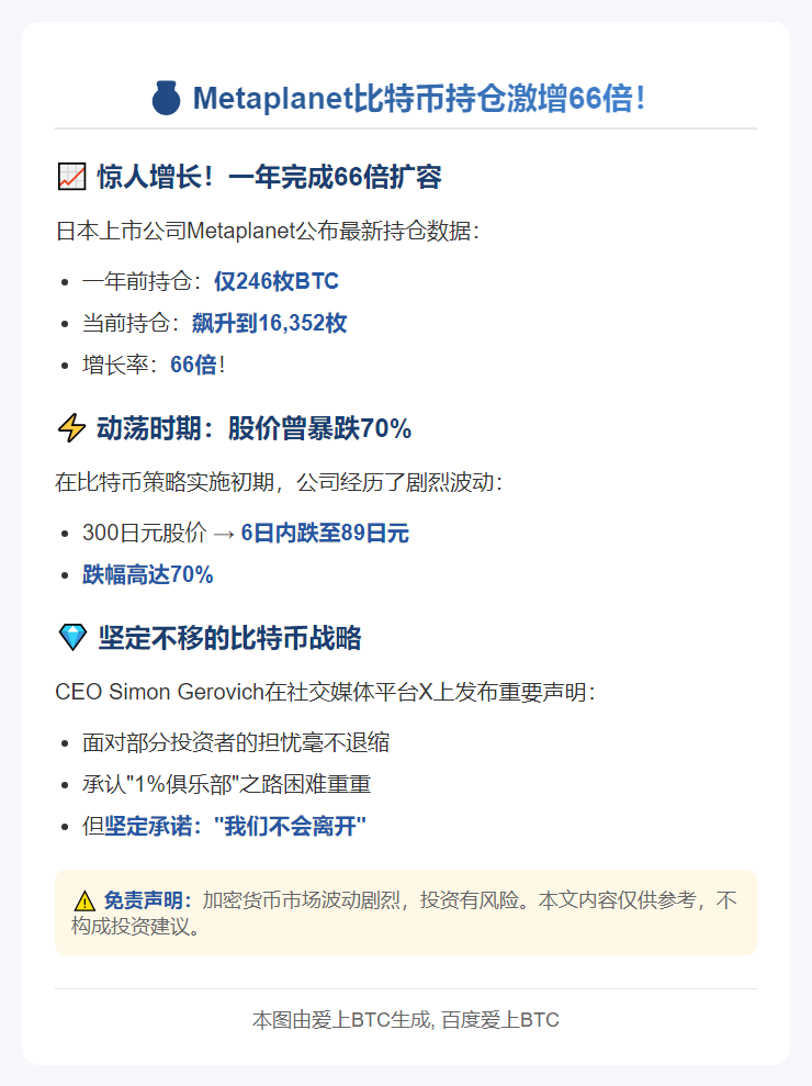 Metaplanet CEO：BTC持仓增长66倍 坚持比特币财库策略