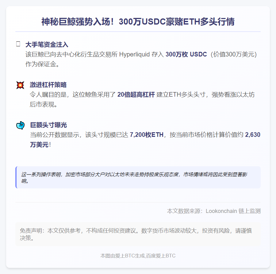 鲸鱼300万USDC杠杆做多ETH