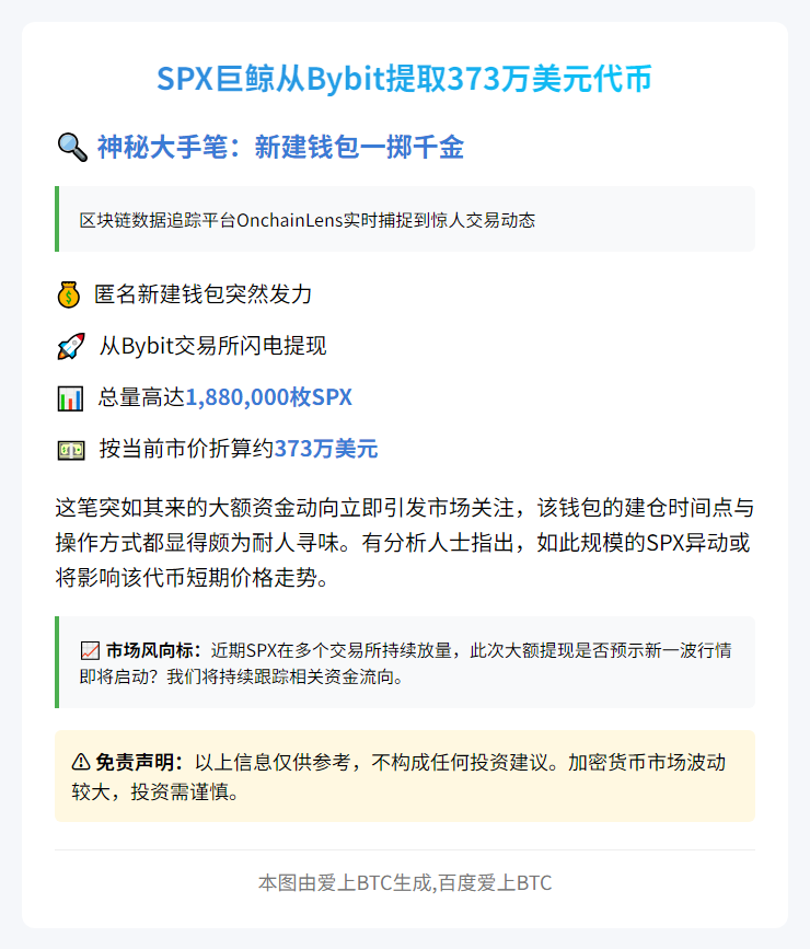 SPX巨鲸从Bybit提取373万美元代币