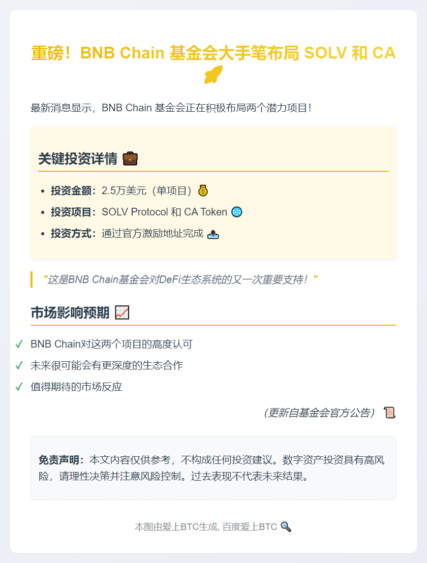 BNB Chain 基金买入 2.5 万美元 SOLV 和 CA
