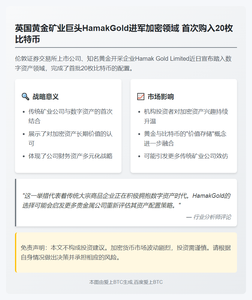 英国上市公司HamakGold购20枚BTC