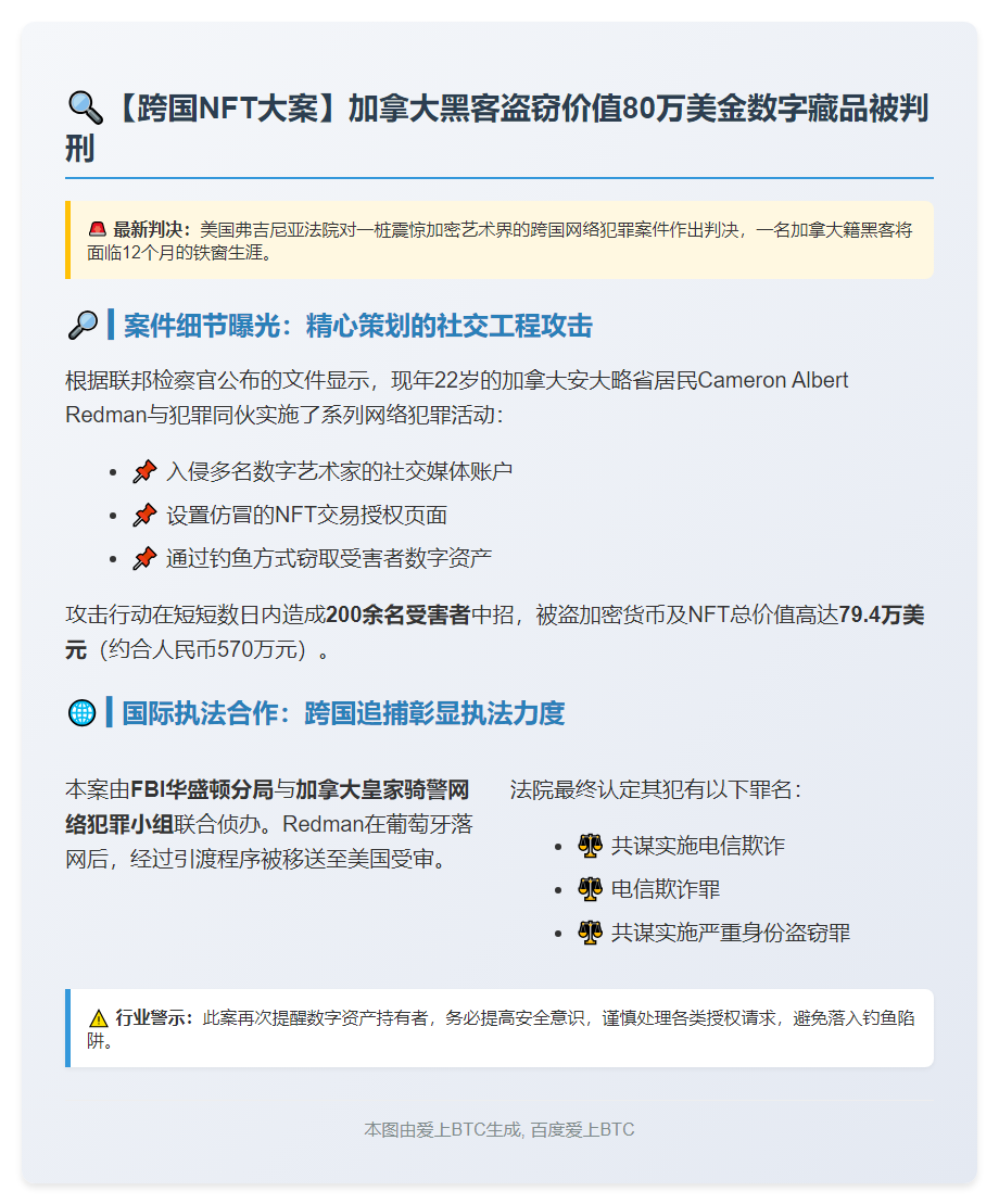 加拿大男子因盗NFT被判一年