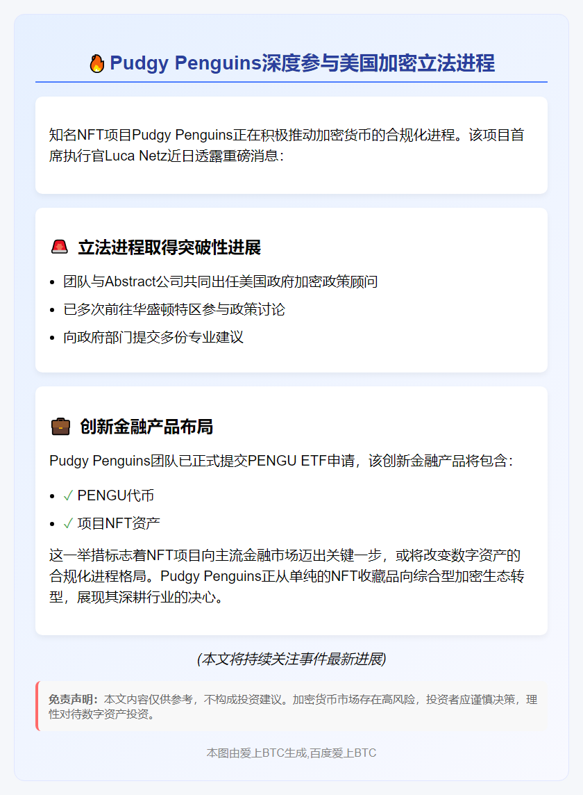 "Pudgy Penguins CEO参与美加密立法"
