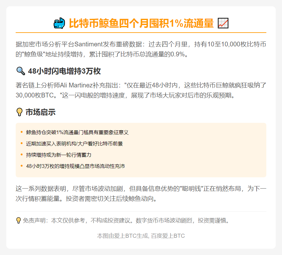 比特币鲸鱼四个月囤积1%流通量