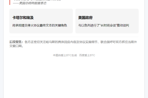 哈马斯积极回应加沙停火提议