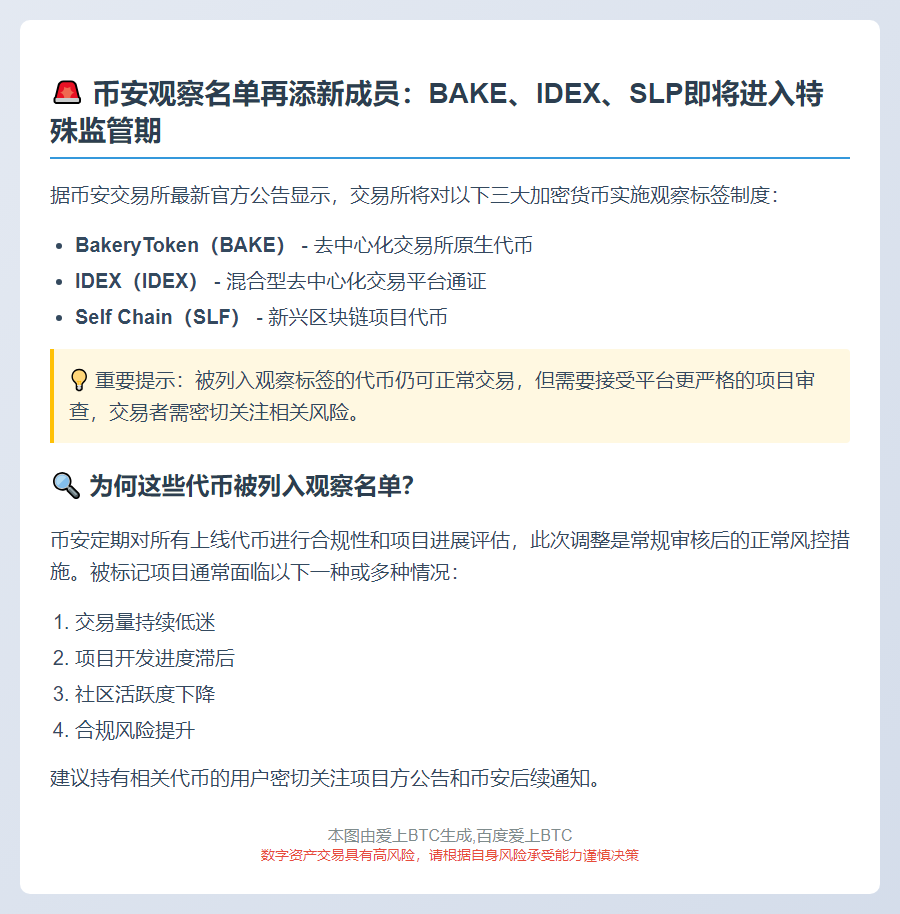 币安新增BAKE等代币观察标签