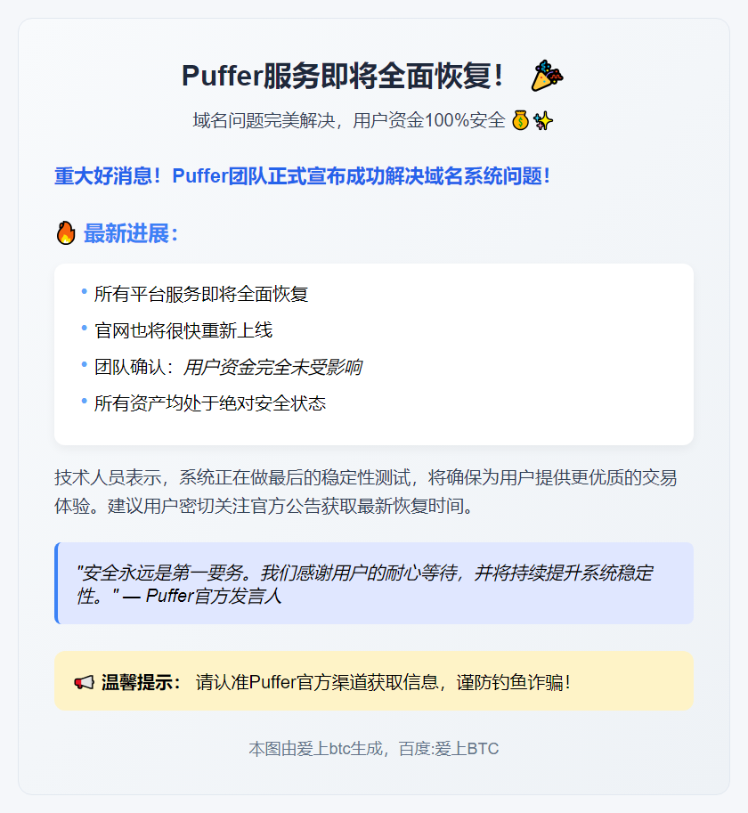 Puffer域名问题解决，服务将恢复