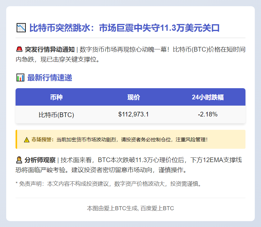**BTC失守11.3万美元**