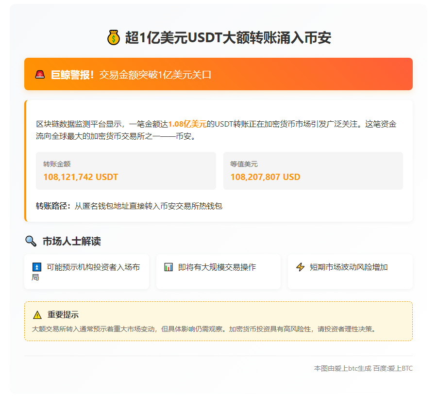 USDT大额转账进币安