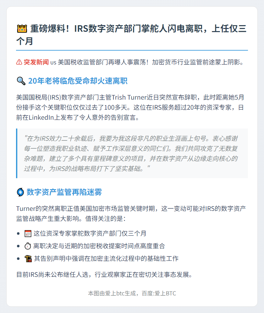美国国税局数字资产主管上任三月辞职