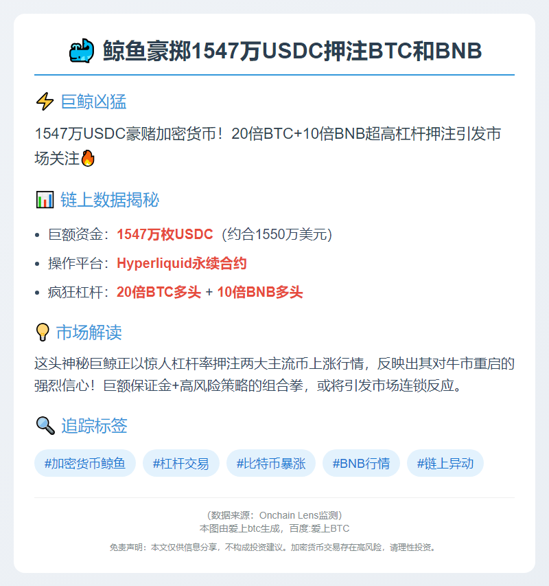 鲸鱼豪掷1547万USDC押注BTC和BNB