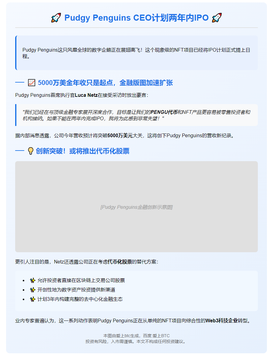 "Pudgy Penguins CEO计划两年内IPO"