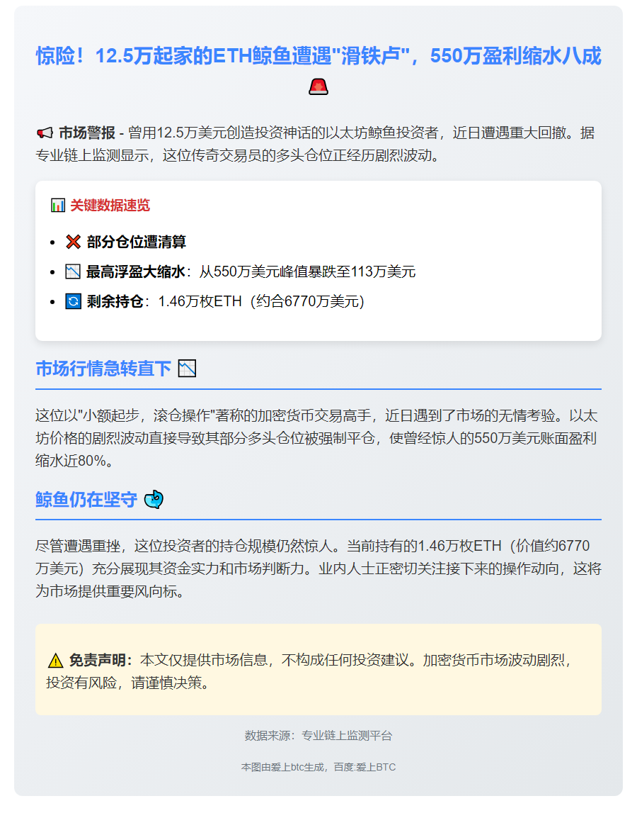 "ETH鲸鱼多单部分爆仓，浮盈缩至113万"