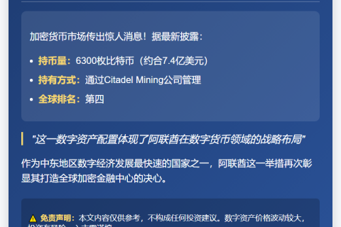 阿联酋持6300枚比特币全球第四