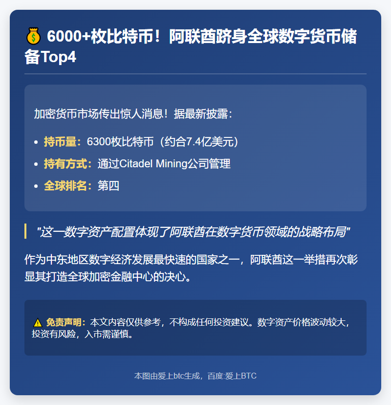 阿联酋持6300枚比特币全球第四