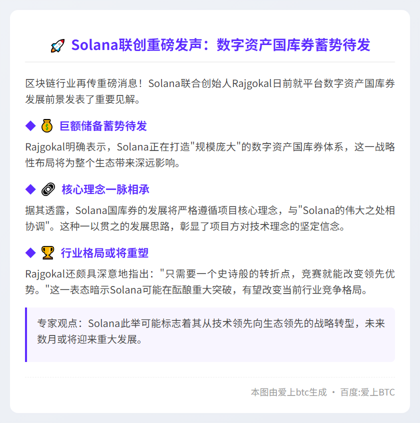 Solana创始人：国库规模庞大 首重协调性