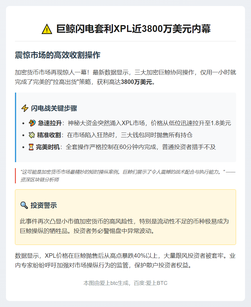 巨鲸1小时套利XPL近3800万