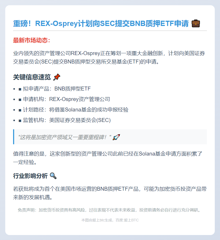 "REX-Osprey 申请 BNB 质押 ETF 获批"