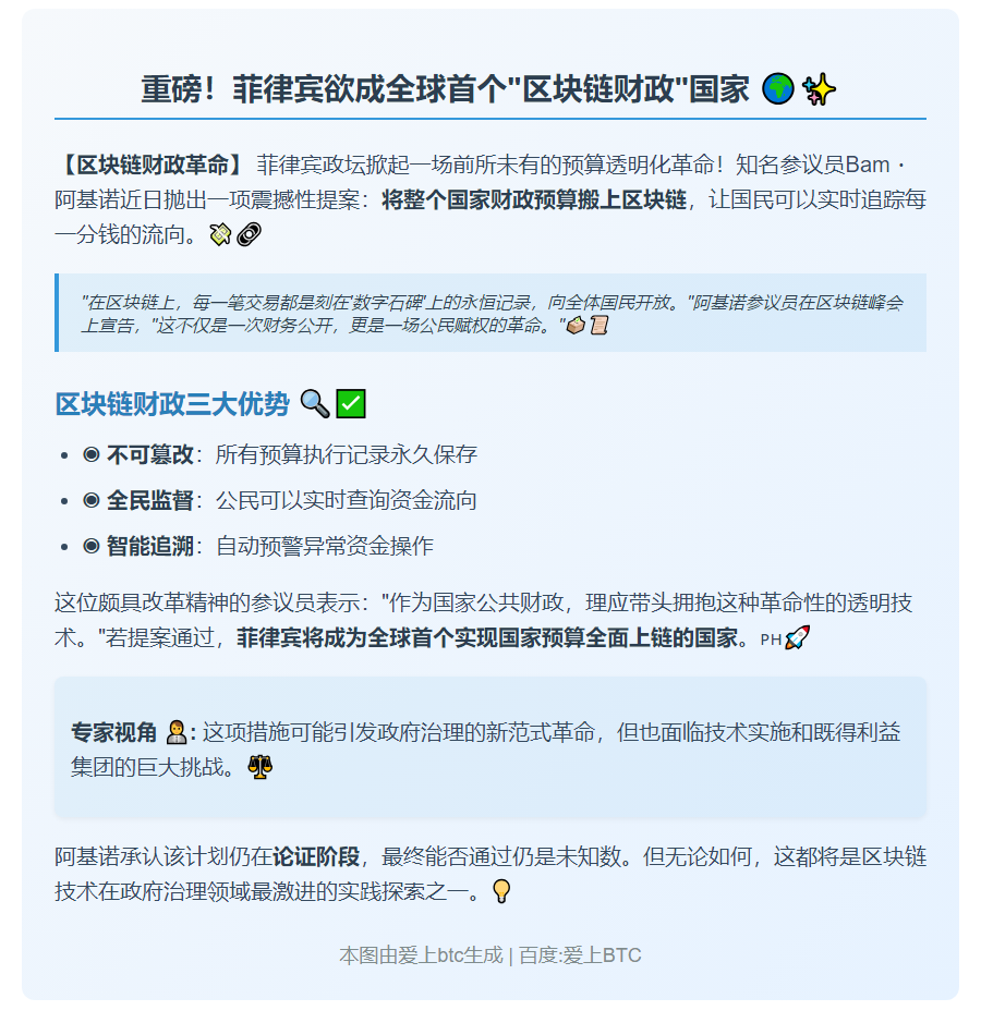 菲议员建议预算上链