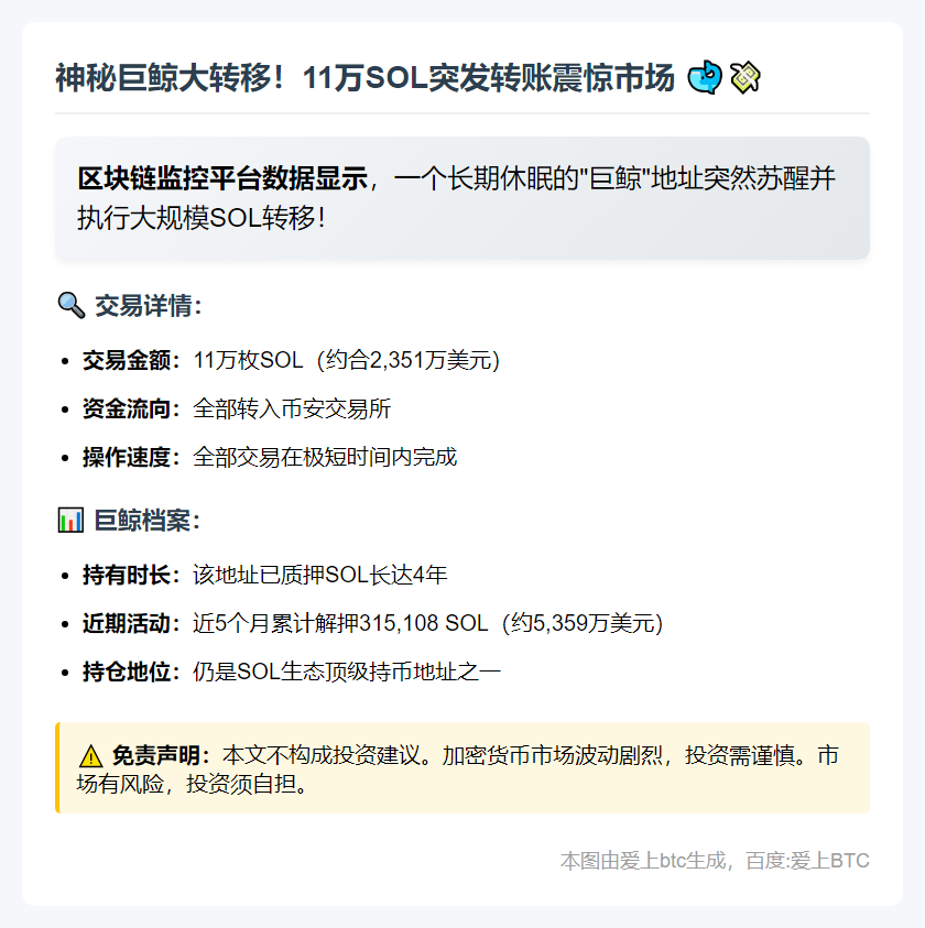 巨鲸转11万SOL至币安 价值2351万美元