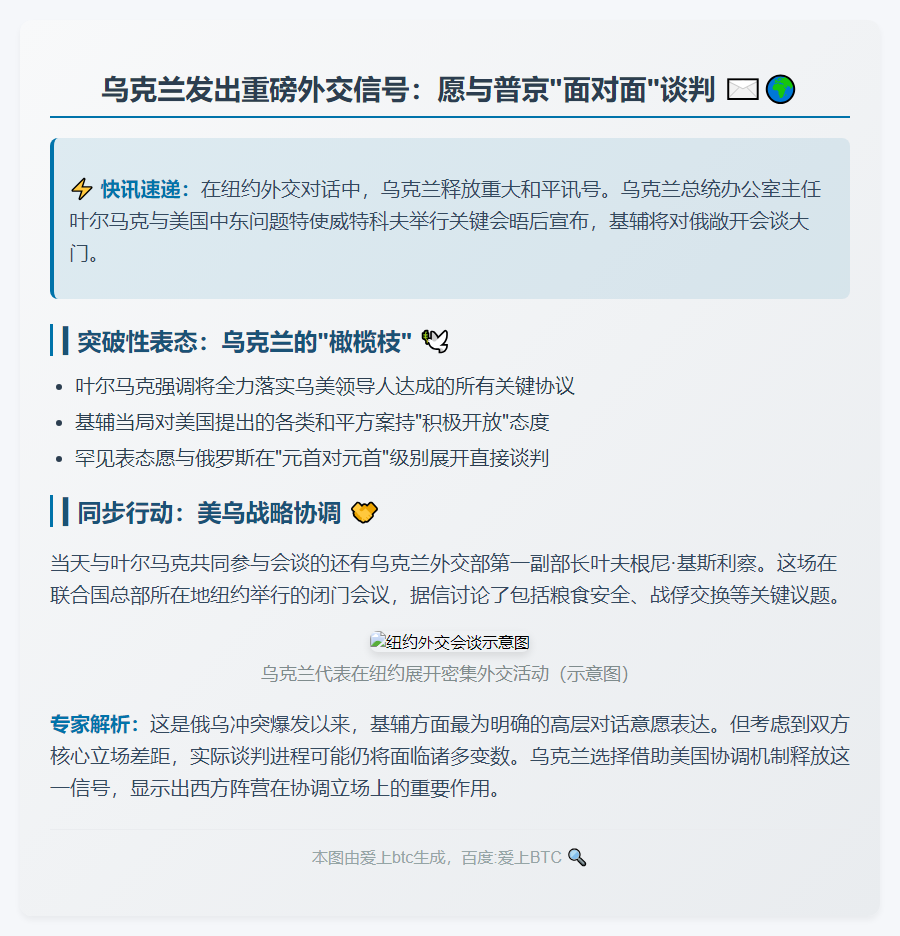 乌愿与俄领导层直接对话