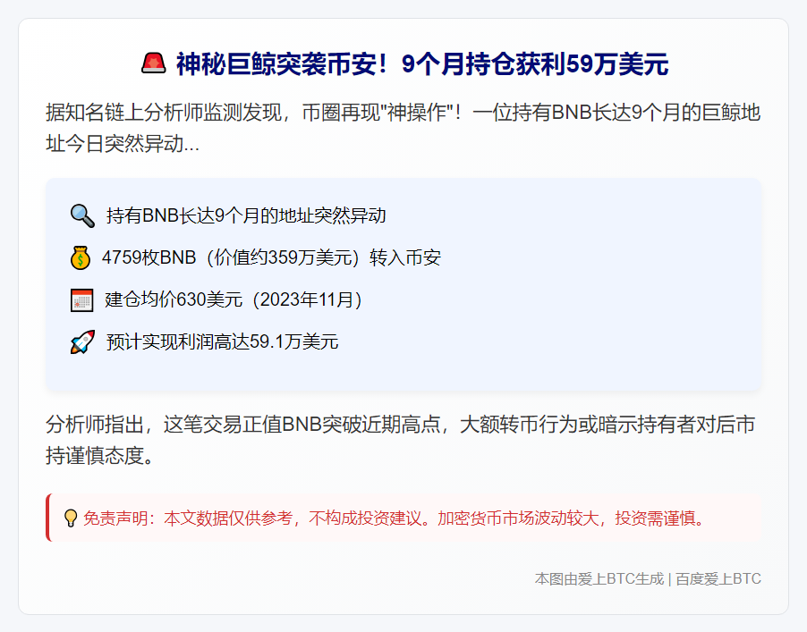 BNB 持仓9个月获利59万美元