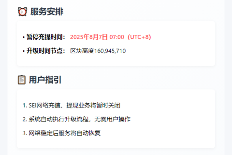 币安明早7点暂停SEI充提