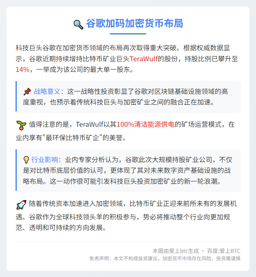 谷歌成TeraWulf最大股东 持股14%
