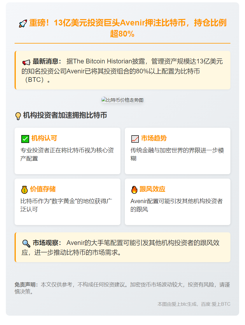 Avenir 80% 资产押注比特币