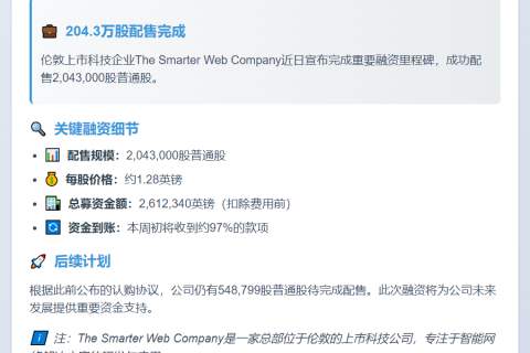 Smarter Web完成204.3万股配售