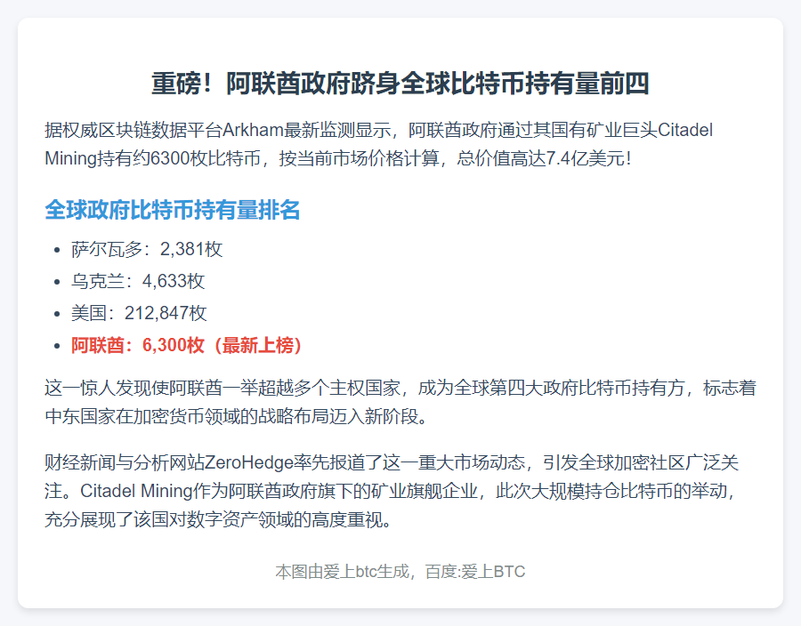 阿联酋国企持6300枚比特币