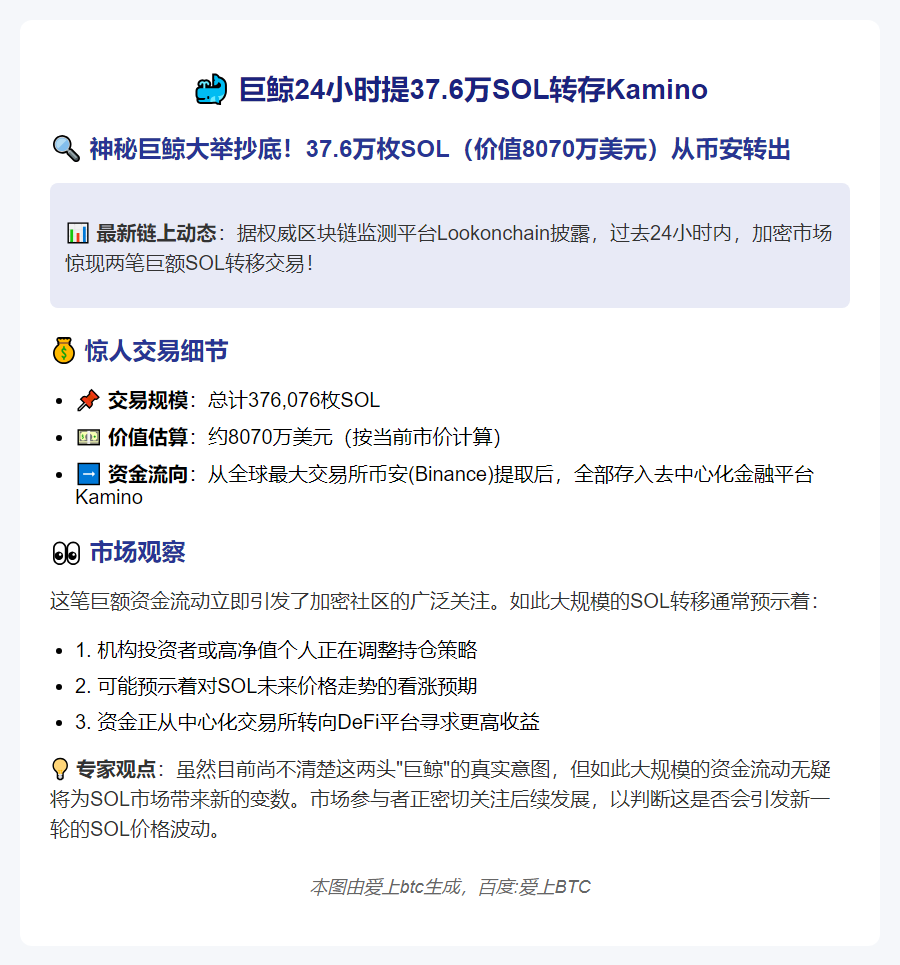 巨鲸24小时提37.6万SOL转存Kamino