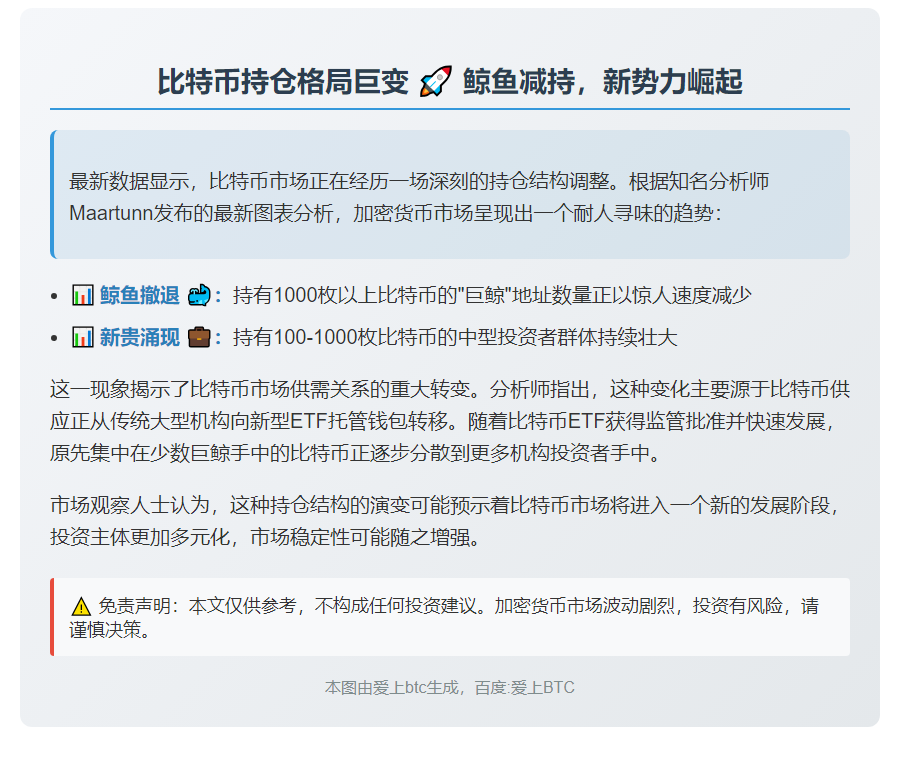 大额比特币持有地址数量增加