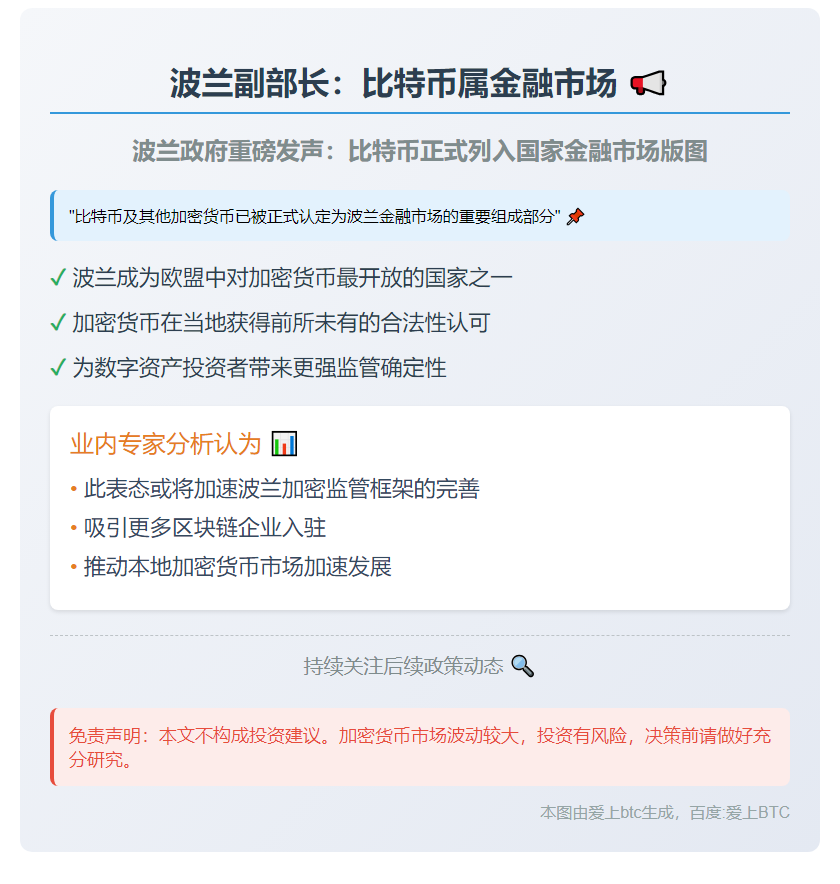 波兰副部长：比特币属金融市场