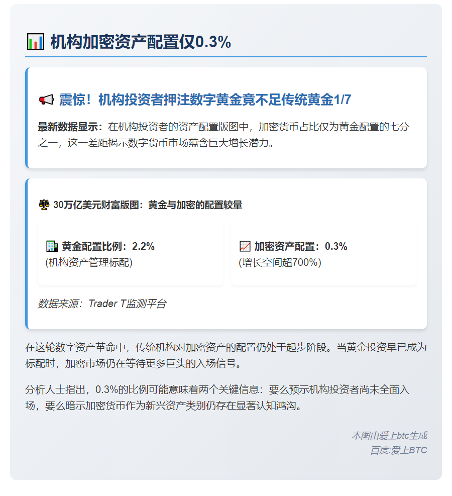 机构加密资产配置仅0.3%