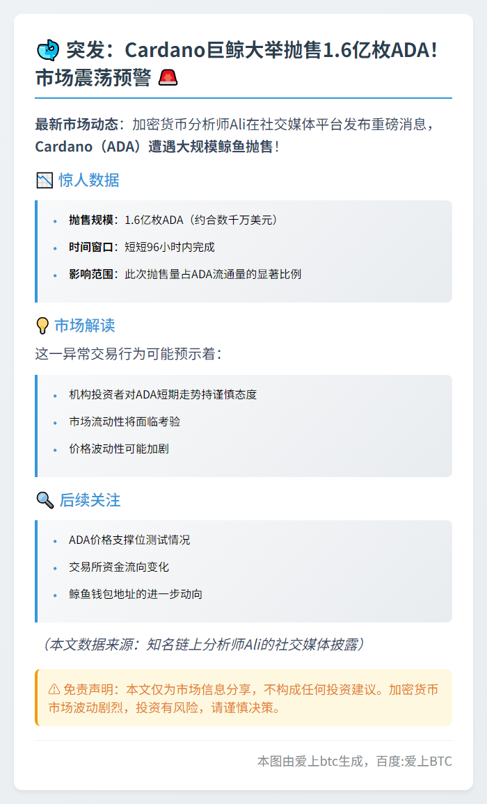 鲸鱼96小时抛售1.6亿ADA