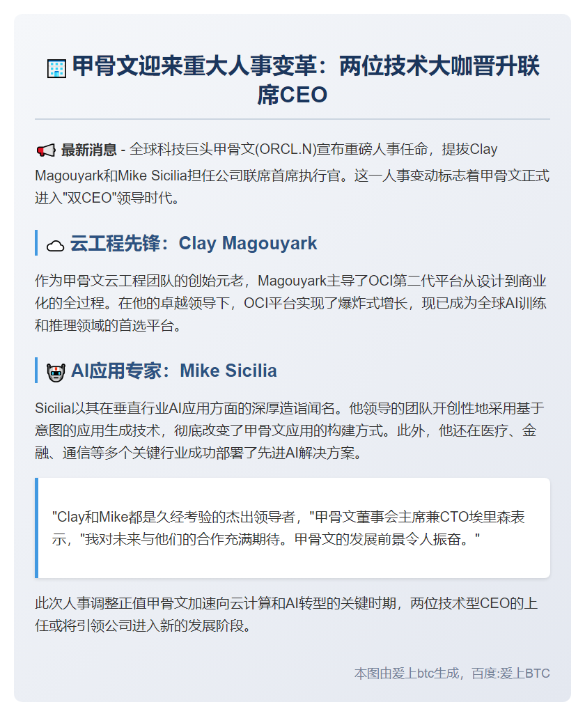 甲骨文任命两位新CEO
