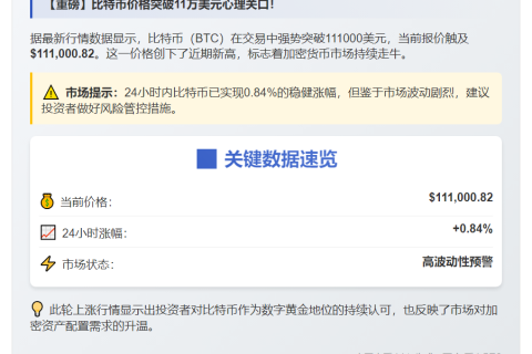 "BTC飙破11万美元"
