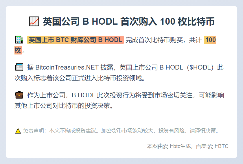 英国公司 B HODL 首次购入 100 枚比特币