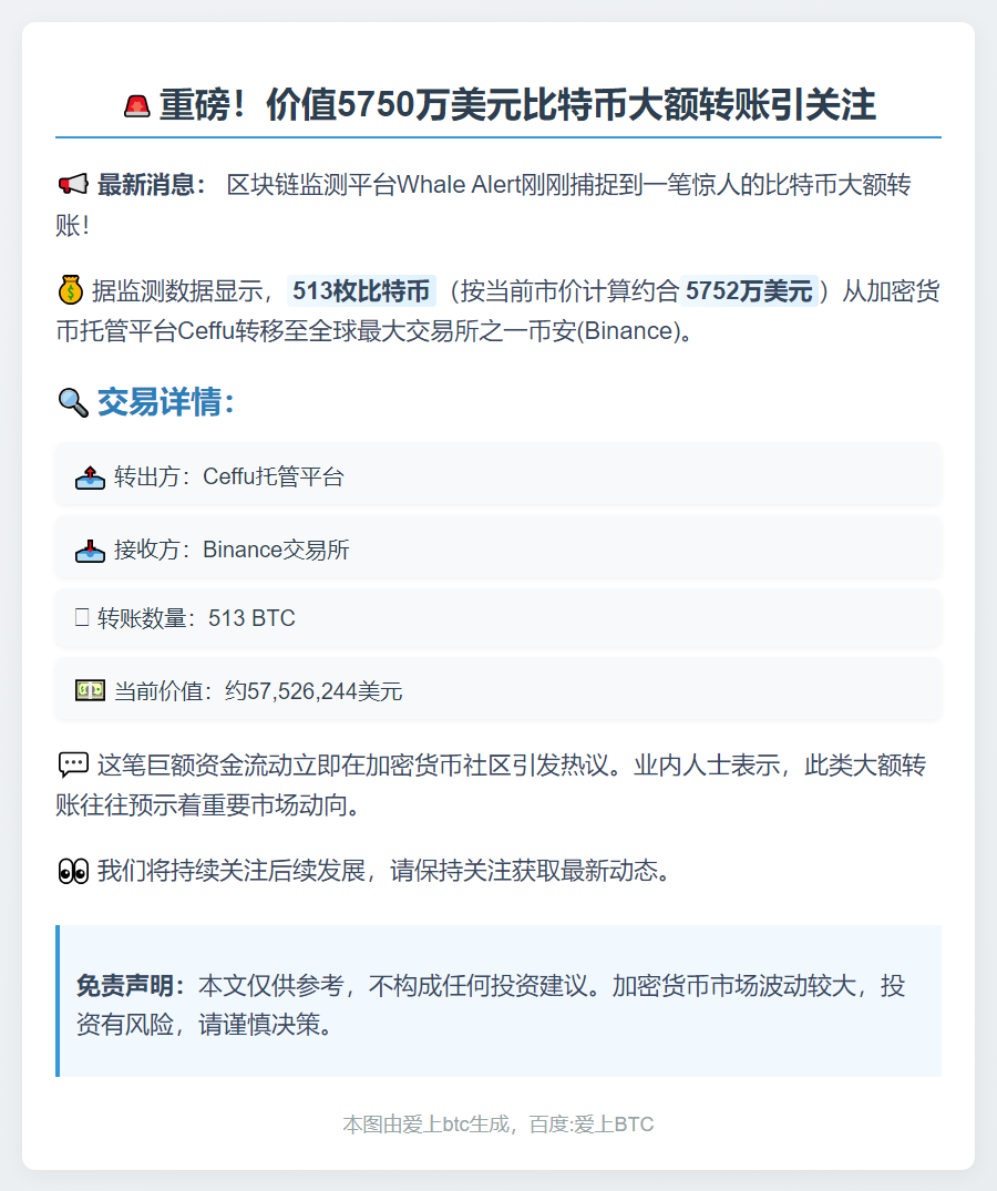 513枚比特币转入币安