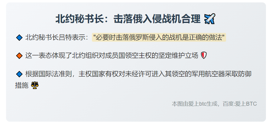 北约秘书长：击落俄入侵战机合理