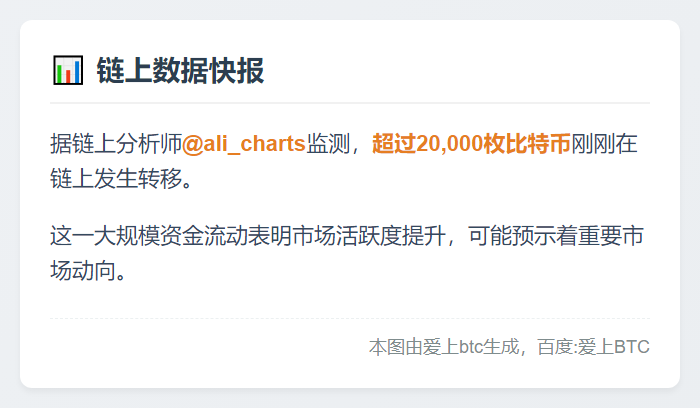 数据：超过20,000枚比特币在链上发生转移