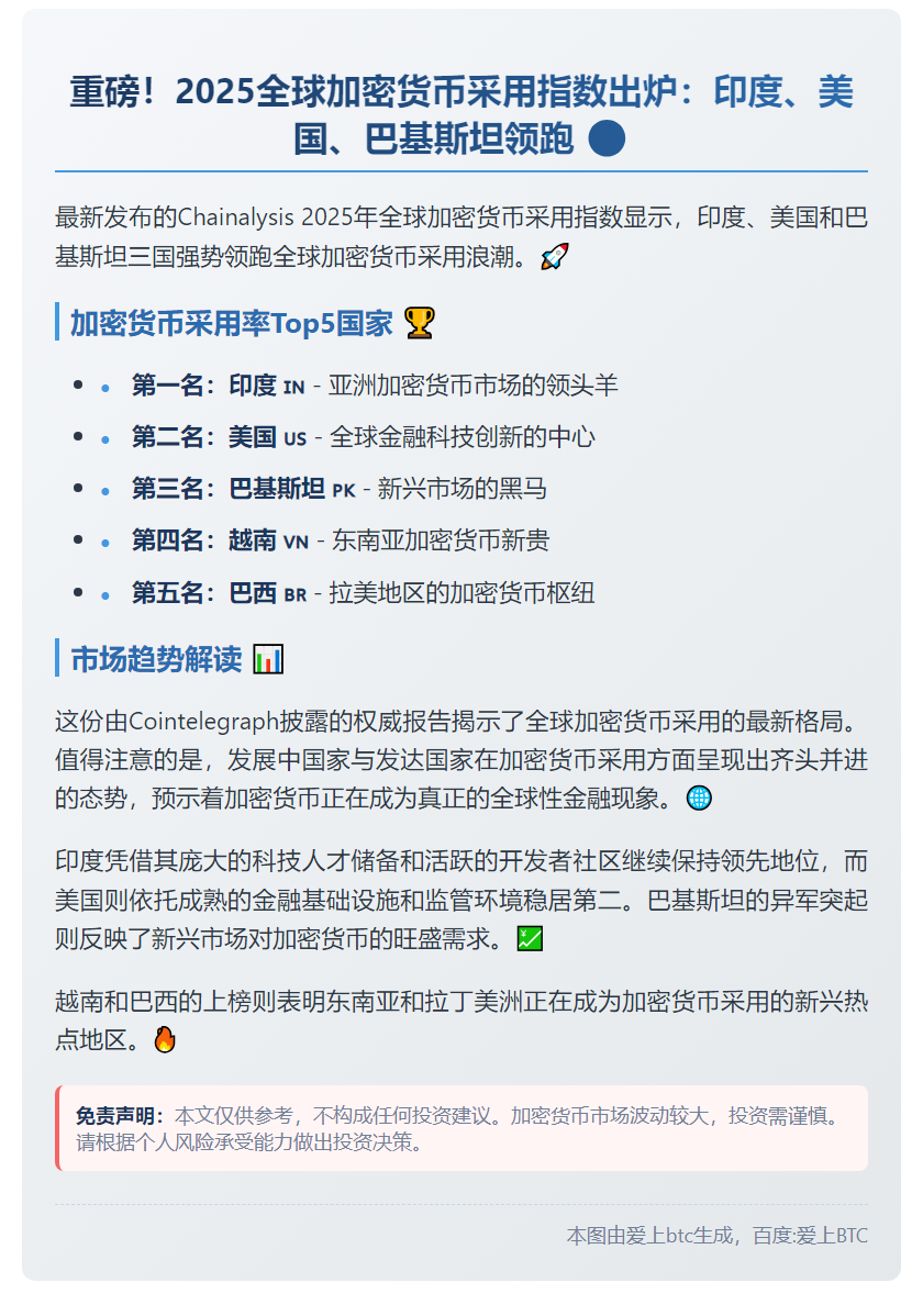 2025全球加密采用指数：印美巴居首