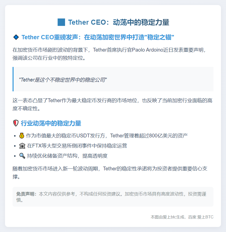 Tether CEO：动荡中的稳定力量