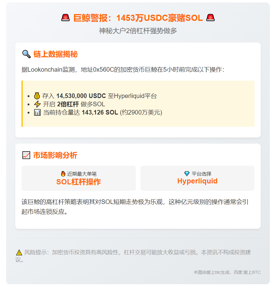 巨鲸存入1453万USDC，2倍杠杆做多SOL