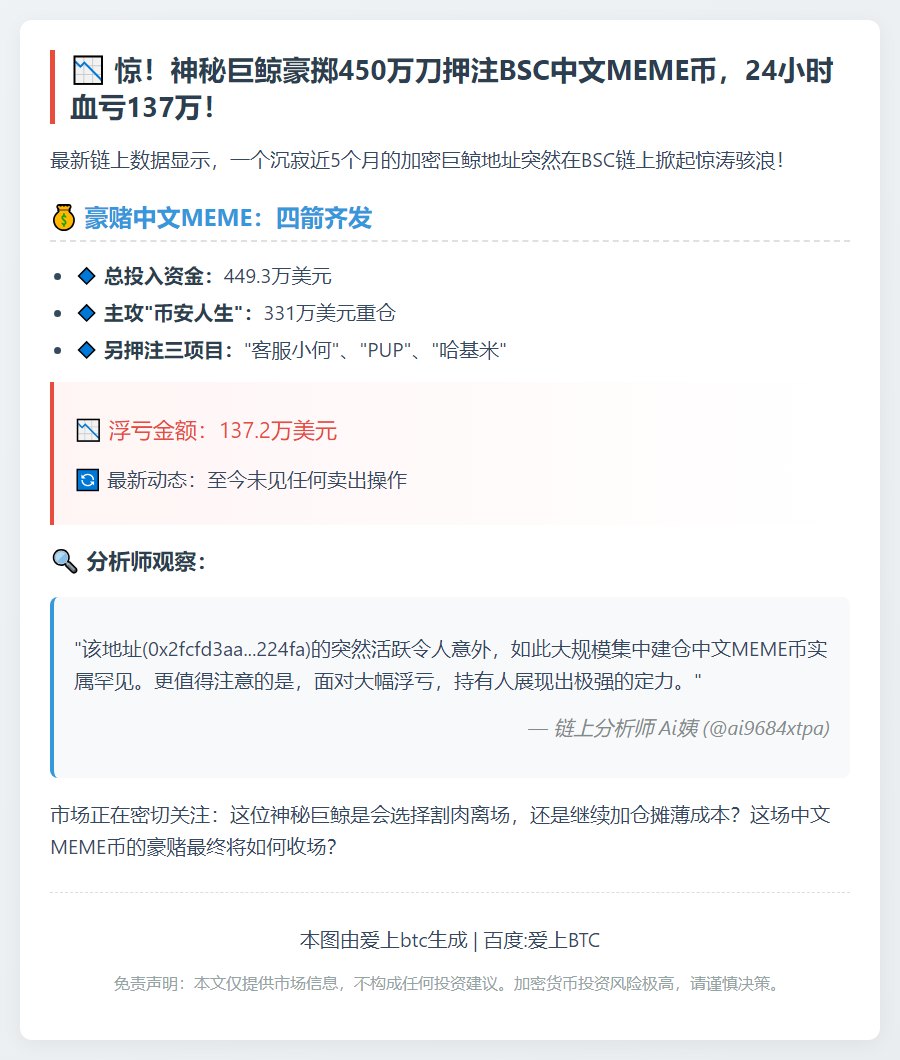 重仓BSC链Meme币24小时亏137万美元