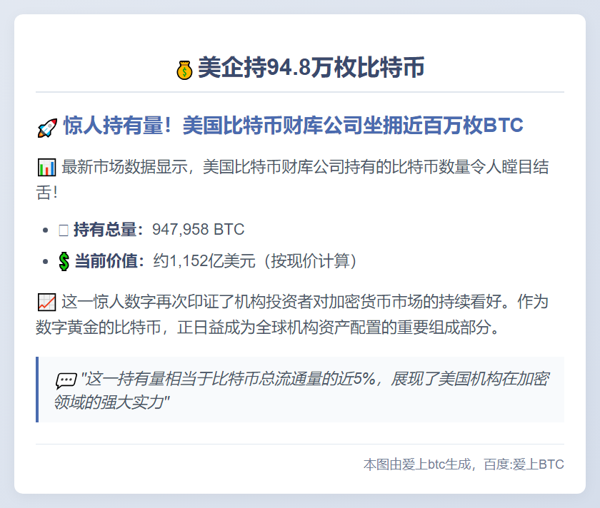 美企持94.8万枚比特币